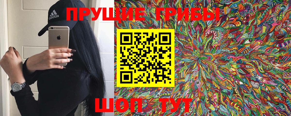 Псилоцибиновые грибы мухоморы Губкинский