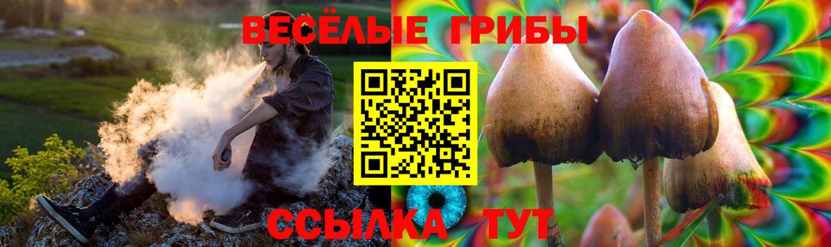 Псилоцибиновые грибы GOLDEN TEACHER  Вход с VPN  Губкинский 